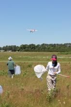 Ries Lab members in Cape Cod